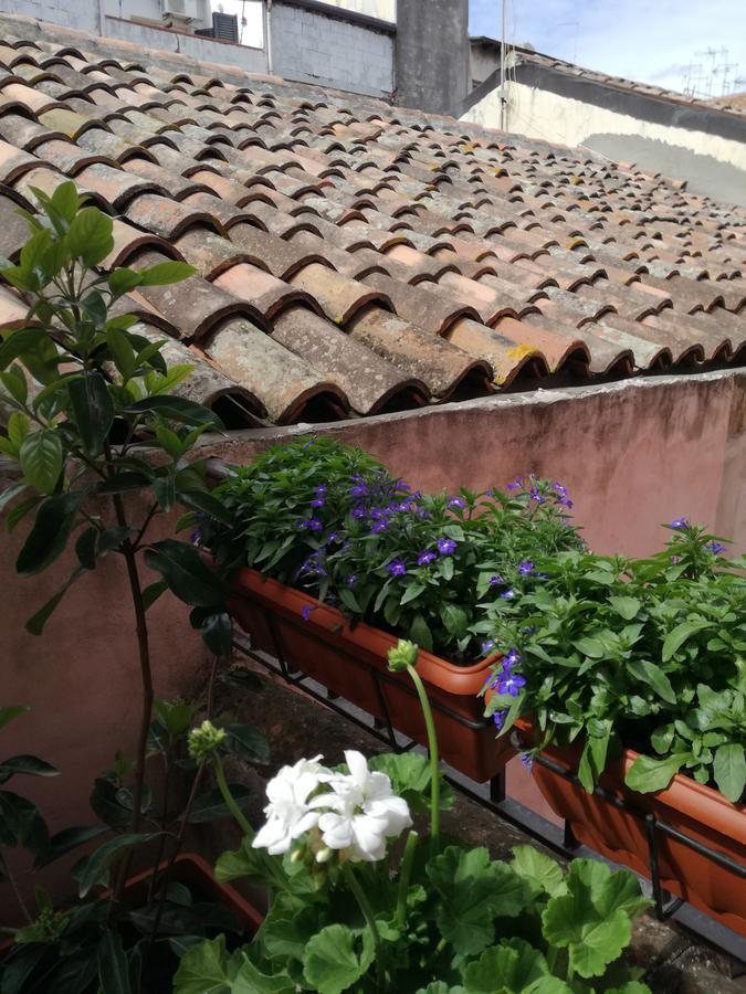 Altevolte Rooms Catania Luaran gambar